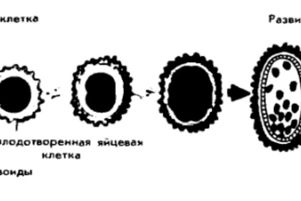 Кракен интернет